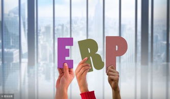 erp軟件定制的利與弊