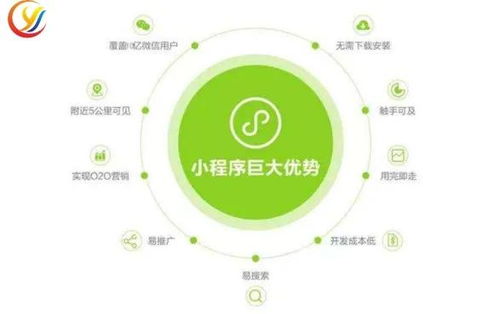 風(fēng)口上的拼多多 入局社區(qū)團(tuán)購(gòu),直接對(duì)標(biāo)美團(tuán)和興盛優(yōu)選